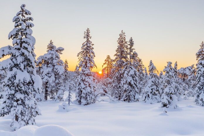Norway Cold Landscape