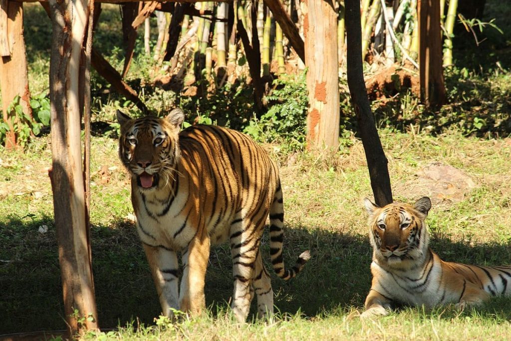 Indira Gandhi Zoological Park (2.53 km²)