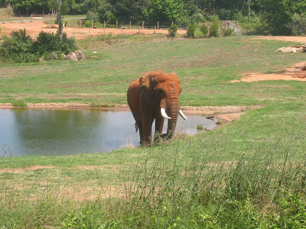 North Carolina Zoo (5.54 km²)