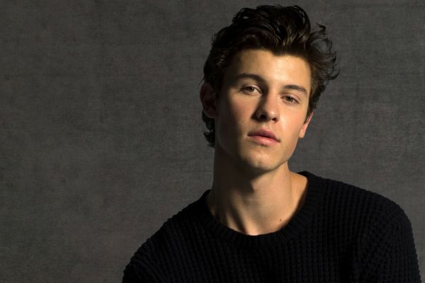 Shawn Mendes Handsome Male Pop Stars
