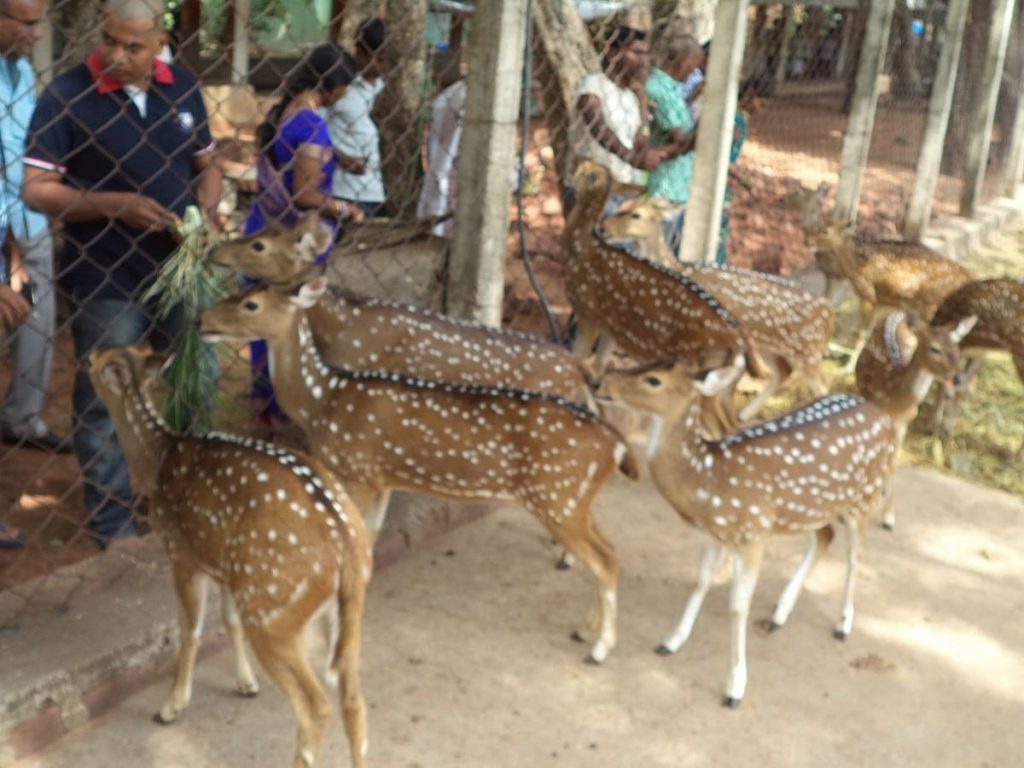 Sri Venkateswara Zoological Park (22.39 km²)