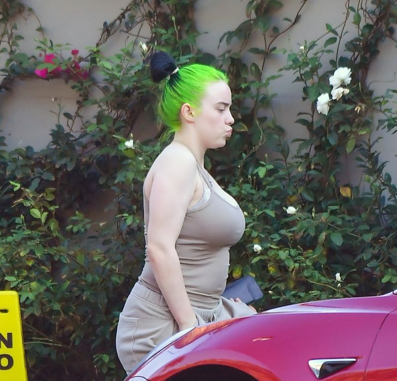 Own fuzzy means Viral Paparazzi Photos of Billie Eilish in Tank Top! - Utah Pulse