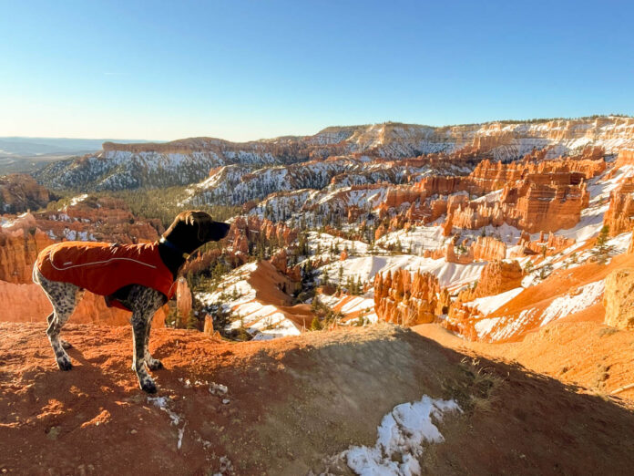 bryce canyon national park best utah hikes with dogs