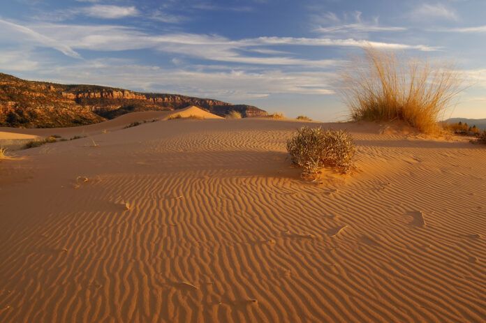 coral pink sand dunes state park best utah hikes with dogs