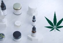 The Science Behind CBD Topicals - Understanding the Endocannabinoid System