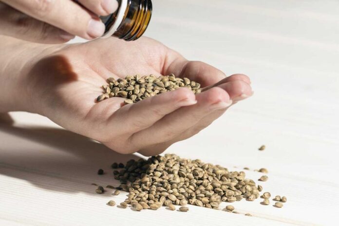 Raw Cannabis Seeds
