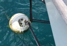 Mooring Buoys 101: Exploring Types and Their Practical Usage