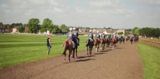 Exploring the History of Horse Betting: From Ancient Tracks to Modern Turf Tales